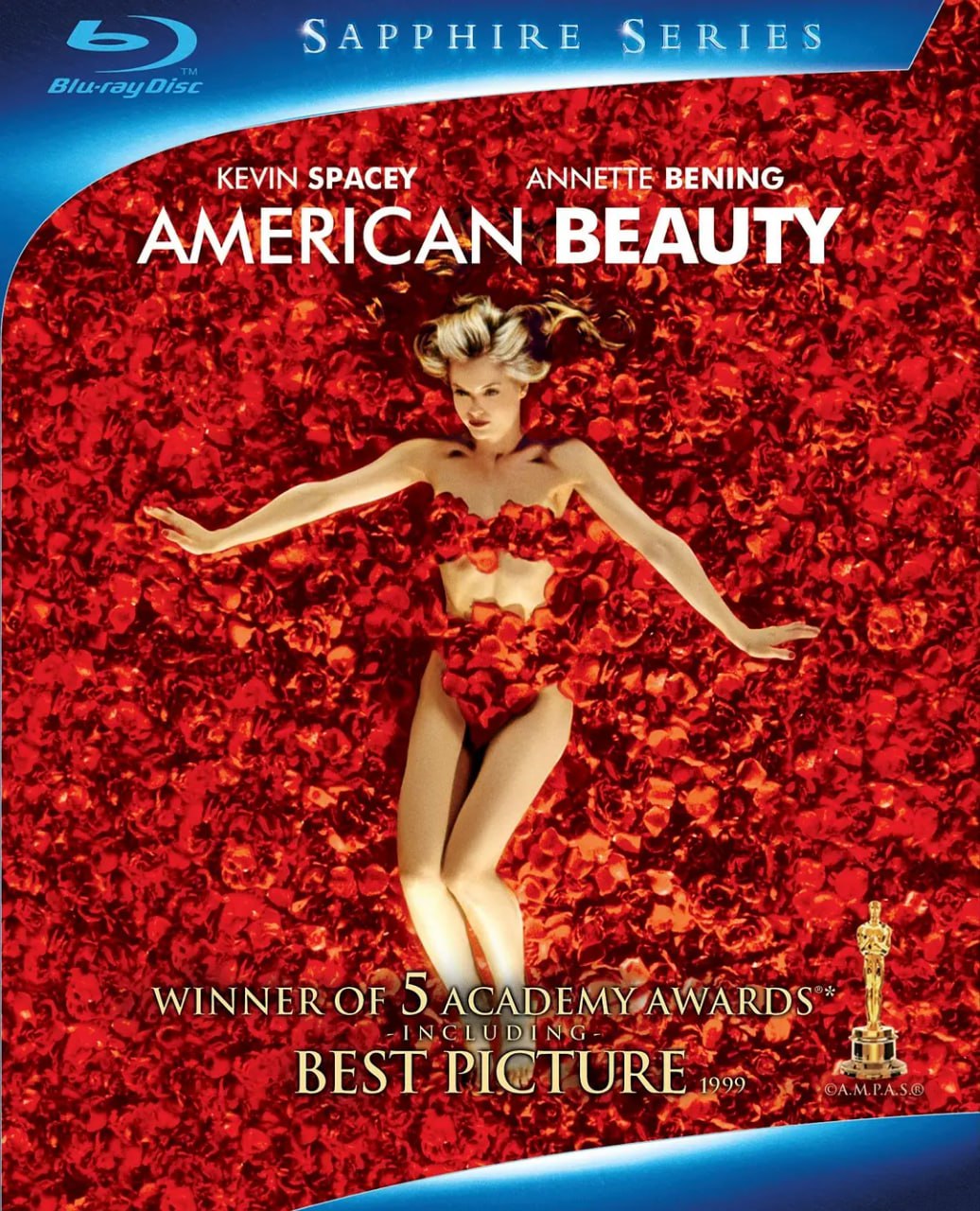 美国丽人 American Beauty (1999)