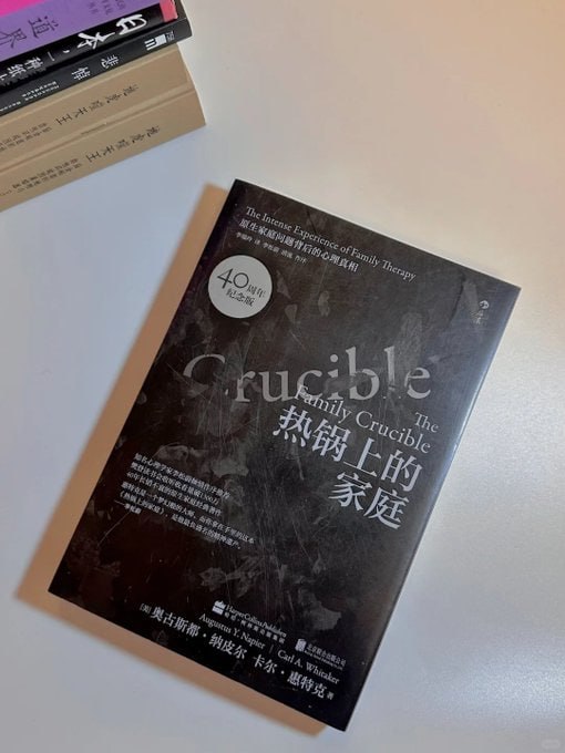 《热锅上的家庭》