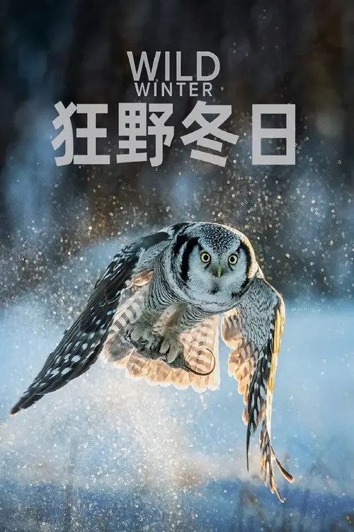 狂野冬日 第一季 (2024) 4K 高码 全4集